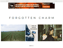 Tablet Screenshot of forgottencharm.com
